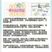 孕期胰岛素抵抗（孕期胰岛素抵抗怎么控制）