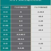 上户口需要血型吗？麻烦最近带家里宝宝去办理过的，跟我交流吧,胎儿的血型由谁决定呢