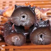孕期可以吃海参吗（怀孕几个月能吃海参）