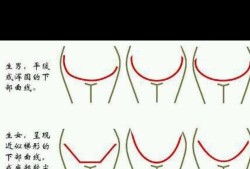 孕期乳房变化看男女（一个女人长相像男人这样辨别）