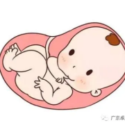胎儿算自然人吗,胎儿是不是自然人