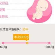估测胎儿体重（估测胎儿体重）