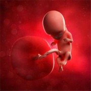 怀孕11周胎儿稳定了吗?多少周才能稳定,怀孕三个月胎儿稳定了吗?还会胎停吗