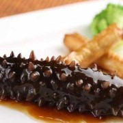 孕期可以吃海参吗（怀孕几个月能吃海参）