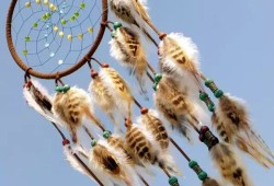 孕期梦见蜘蛛（印第安人捕梦网故事）