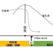 孕期激素水平变化规律（孕期激素水平变化规律是什么）
