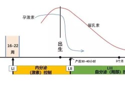 孕期激素水平变化规律（孕期激素水平变化规律是什么）
