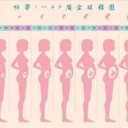 孕14周胎儿稳定了吗（14周孕妇标准的肚子图）