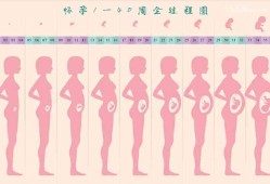 孕14周胎儿稳定了吗（14周孕妇标准的肚子图）