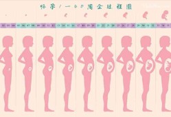 孕14周胎儿稳定了吗（14周孕妇标准的肚子图）