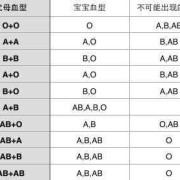 查胎儿血型（出生证明上怎么看宝宝血型）