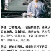 孩子有佛缘好不好,佛说胎儿与母亲的缘分
