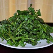 西洋菜吃多了好吗,孕期可以吃西洋菜吗?
