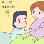 如何与胎儿互动（如何与胎儿互动起来）