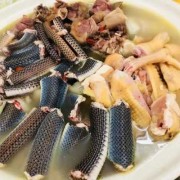 孕期可以吃蛇肉吗（孕期可以吃蛇肉吗）