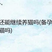 备孕期能养猫吗（养猫招孩子吗）
