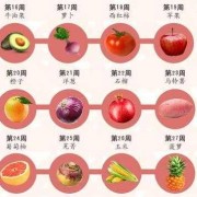 孕39+4周胎儿发育标准是多少,39周胎儿发育情况怎么样