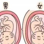 胎儿腿长是男孩女孩（胎儿腿长是男孩女孩?）