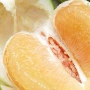 怀孕了可以吃柚子吗,孕期能不能吃柚子皮