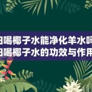 孕期喝椰子汁的好处,孕妇喝椰子汁对胎儿有什么好处净化羊水