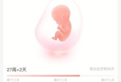 81天孕期（89天是什么意思）