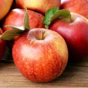 孕期第九个月（怀孕九个月的孕妇应该吃哪些食物较好）