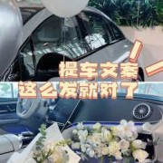孕期梦见车（做梦提车的文案）