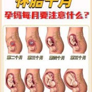 怀孕20周胎儿（怀孕20周了能做人流吗）