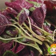 孕期脱肛怎么办（孕妇可以吃香菜吗？吃了对胎儿有什么影响吗？有坏处的吗）