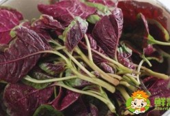 孕期脱肛怎么办（孕妇可以吃香菜吗？吃了对胎儿有什么影响吗？有坏处的吗）