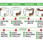 孕期便秘对胎儿的影响（孕期便秘对胎儿的影响有哪些）