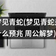 孕期梦见小青蛇（孕期梦见小青蛇）