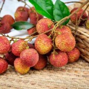孕期能吃荔枝吗（孕期能吃荔枝吗?）