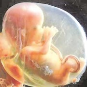 宝宝在羊水里面怎么呼吸,胎儿在羊水中怎样呼吸的