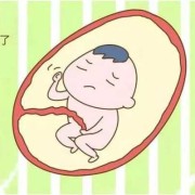 胎儿在肚子里会饿吗（胎儿在肚子里会饿吗?）