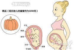 三十九周胎儿图（39周以后胎儿还长吗？还是不太清楚了的）