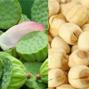 孕期吃莲蓬（孕期吃莲蓬有什么好处）