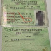 孕妇可以考驾驶证吗,孕期可以学驾照吗?