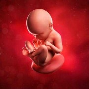 35周胎儿视频（35周胎儿视频直播）