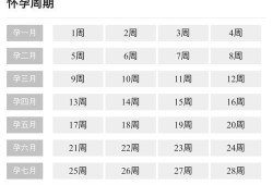 孕期是怎么算的（孕期是怎么算的怀孕几周）