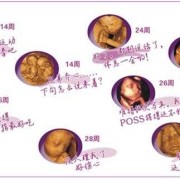 彩超对胎儿的影响（彩超对胎儿的影响有多大）