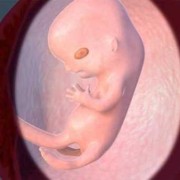 胎儿17周发育稳定了吗？正常多少周就稳定了呢,孕12周了胎儿稳定了吗正常吗