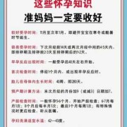 孕期护理（初期怀孕注意事项是有些什么的呀？应该如何护理好）
