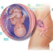 胎儿41周（胎儿41周还不出来怎么办）
