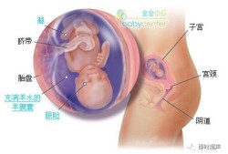 胎儿41周（胎儿41周还不出来怎么办）