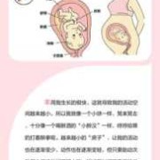 33周入盆，会不会早产，得注意什么,33周下腹部最低端隐隐痛
