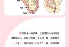 33周入盆，会不会早产，得注意什么,33周下腹部最低端隐隐痛