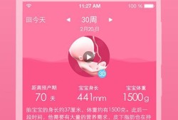 孕期软件下载（下载孕期软件）