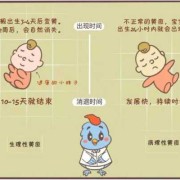 孕38周出生的孩子多吗？这个周期出生的宝宝护理要注意什么,胎儿38周图片