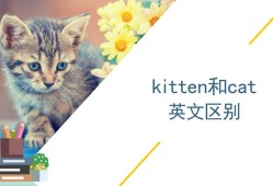 胎儿  英文（kitten和cat有什么区别）
